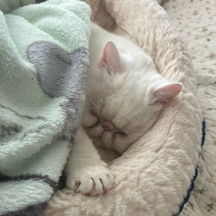 58034919 5ee7 4a94 9048 913d0db1367c 1773567383560