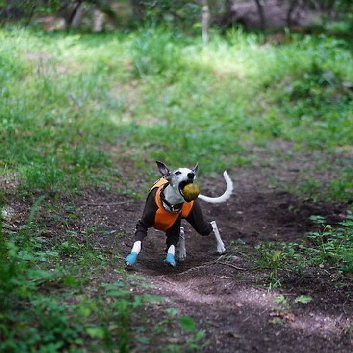 5803525a 6c28 45f2 b82f cb1e1c3336b4 1530263839535