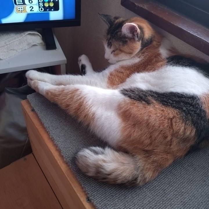 580357a4 3df3 4ed1 98c6 50820cde126d 1757231463714