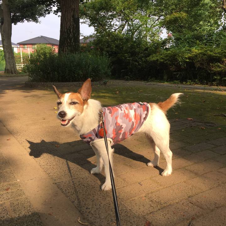 5803662d 3288 49b5 a7d5 d94db5be1131 1596925403665