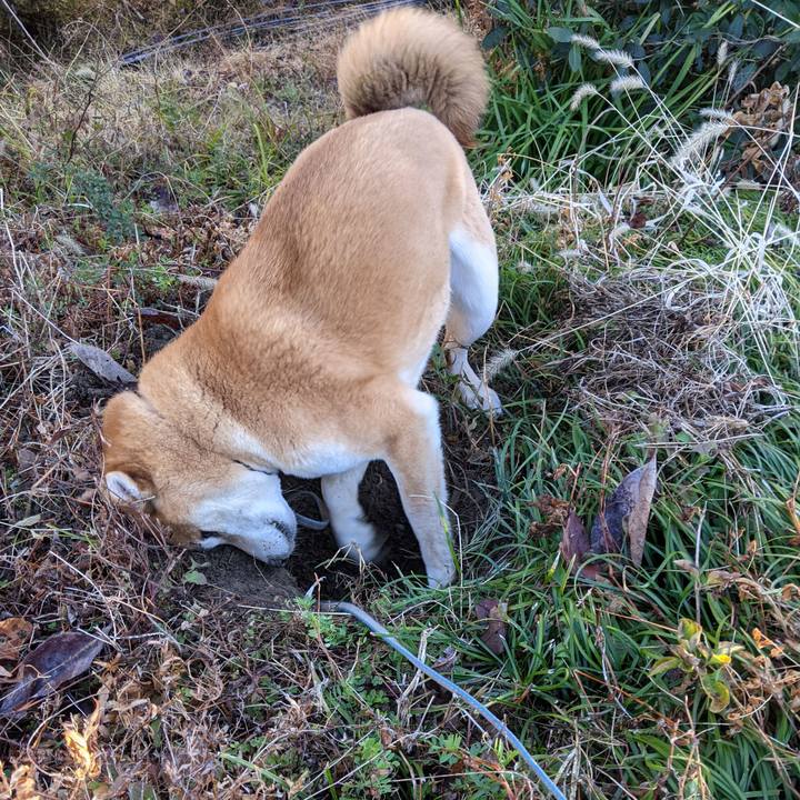 5803791e d448 49de 9fbe 8d0bbbf2d903 1613396769288