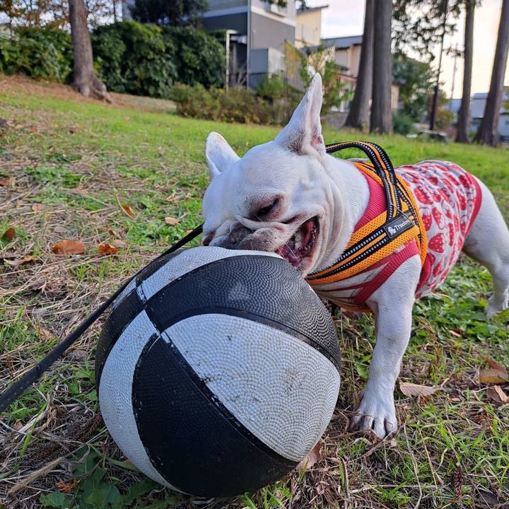 580380cc acf2 4949 b237 bb9ebdafe348 1701126605481