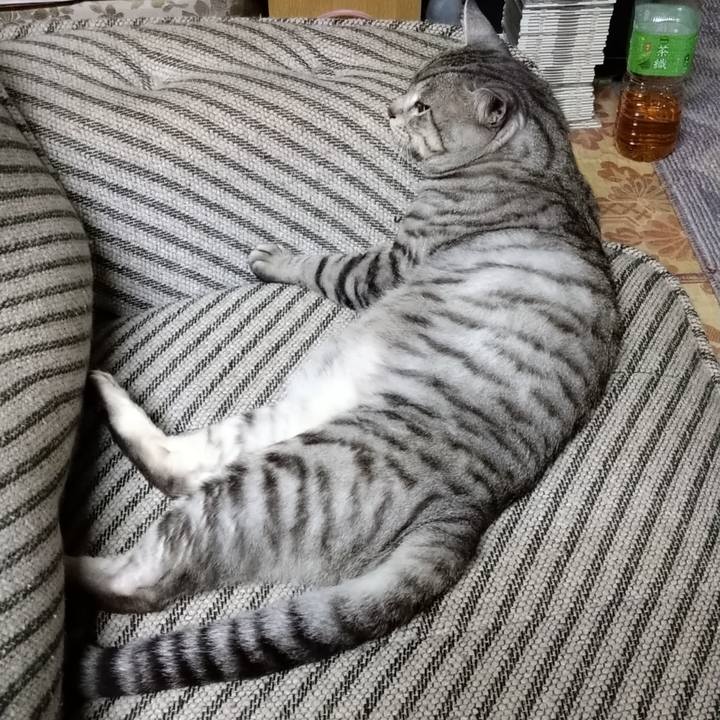 58038932 5a54 4edc b4c0 8fe329c30724 1689600063637