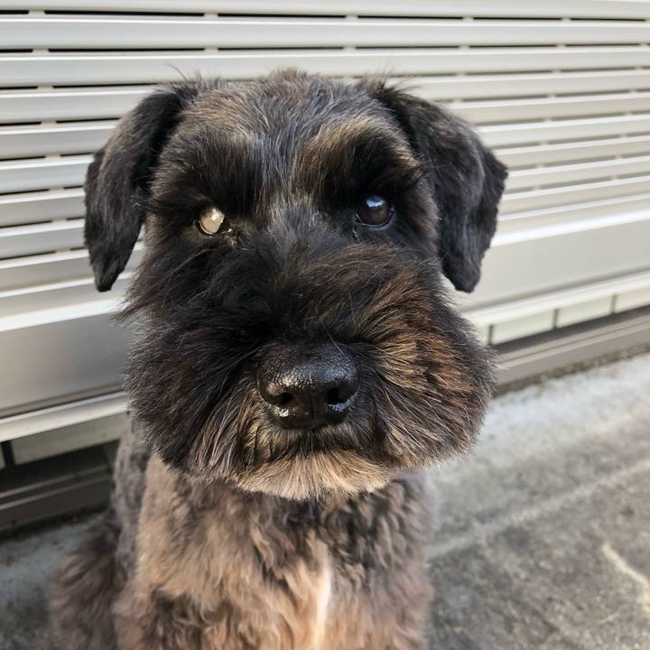 5803a9e4 2ffd 4fd0 823d d3e005d5f2dd 1574059433934