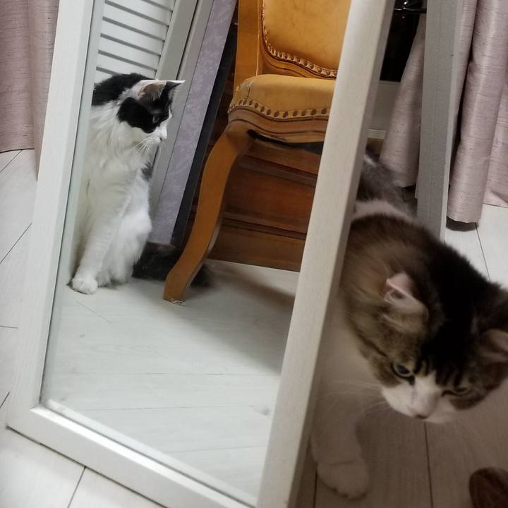 5803b53c 57d5 4131 9efc d611212b62a0 1592571110808