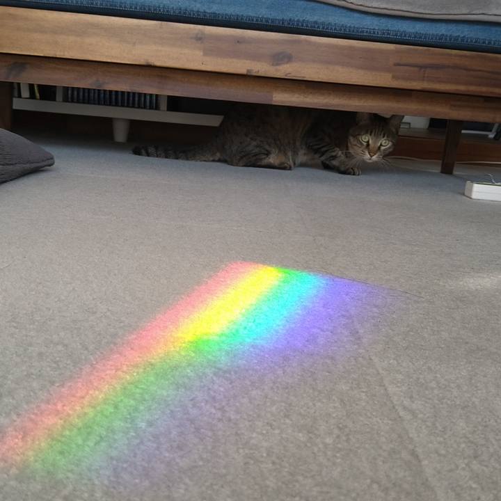 5803ef6b 02f9 4ae1 b886 12b7e4bf72d6 1639199109116