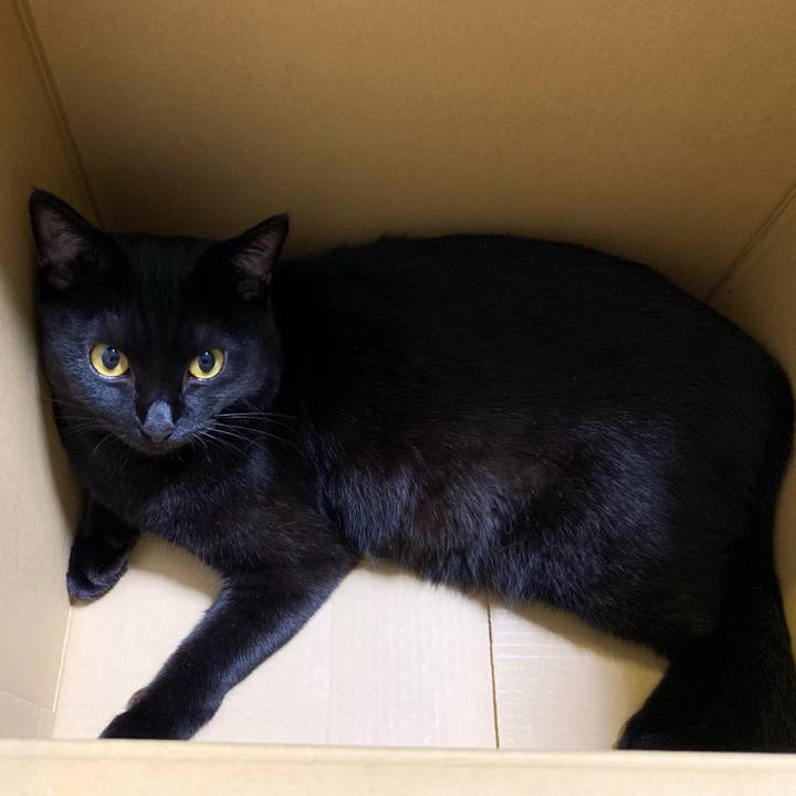 580428e5 9d15 4e32 879e 475caa0c25e4 1567402972889