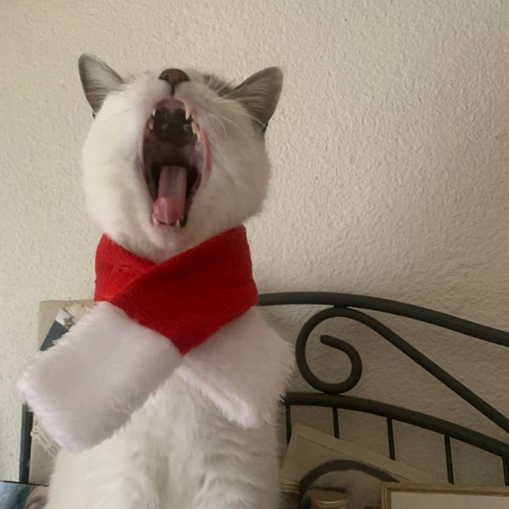 580444e7 7e98 4795 ab37 2746e61dfeab 1703569349717