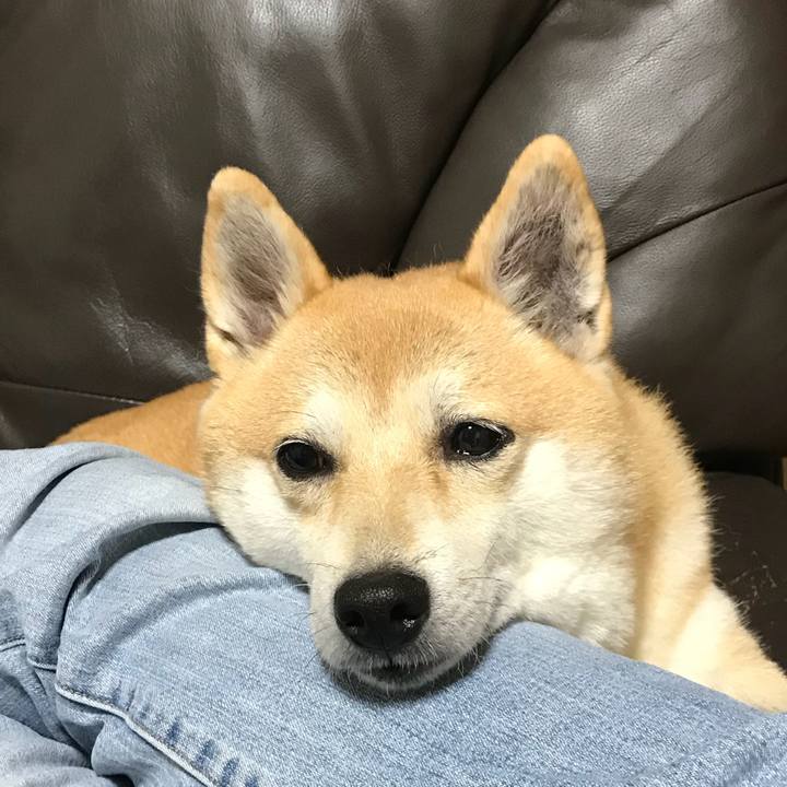 580475fa 9440 44fd a405 ff45ff02b5d7 1509191556932