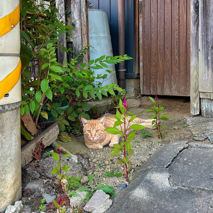 58048328 559f 4546 8438 ac8b0a346125 1726052811762