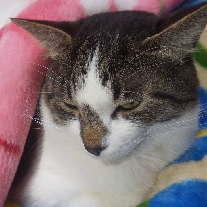 58048a07 c011 453d 9c55 0f4dd0d36b5a 1671371837621