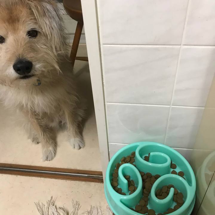 5804933f e77b 471a 8927 fc37574d54c9 1550102752586