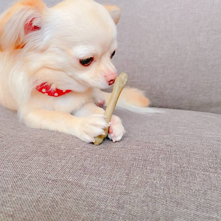 5804a93f 7f93 4577 a60b 4b57a94736f8 1627805246940