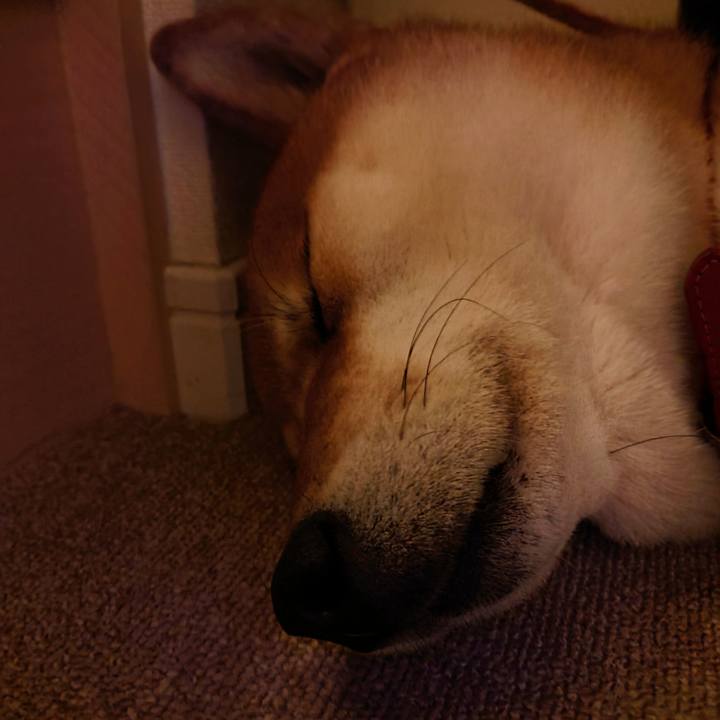 5804ac86 081f 426e 9ebb 9b50580b3d8d 1766029902496