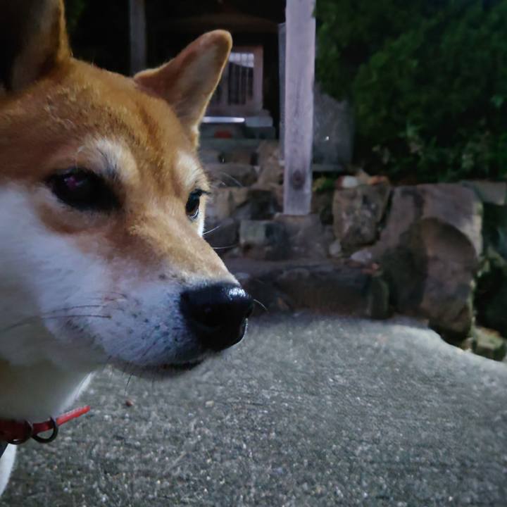 5804e041 d5ff 4e8c bca0 6cfa16922045 1763072046208