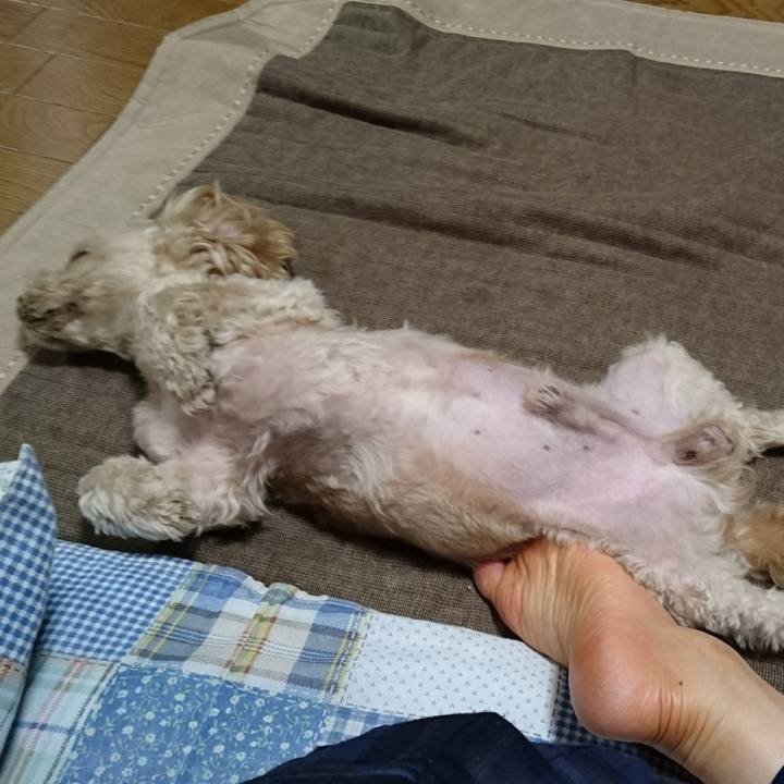 580521ad 2013 48be 9799 4db1a8f2bdcb 1560434865177