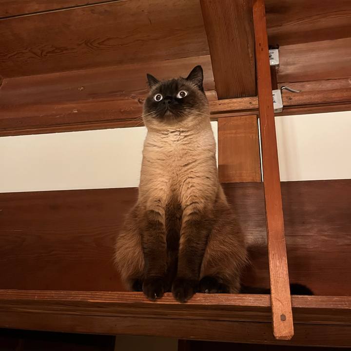 58055372 8fa3 4f13 8e9c bff93675b9b9 1652252166778