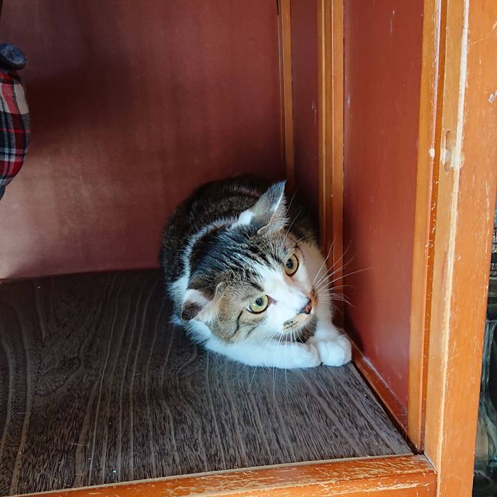 58058b61 97fe 448d 867e 550d25ef4088 1581222040600