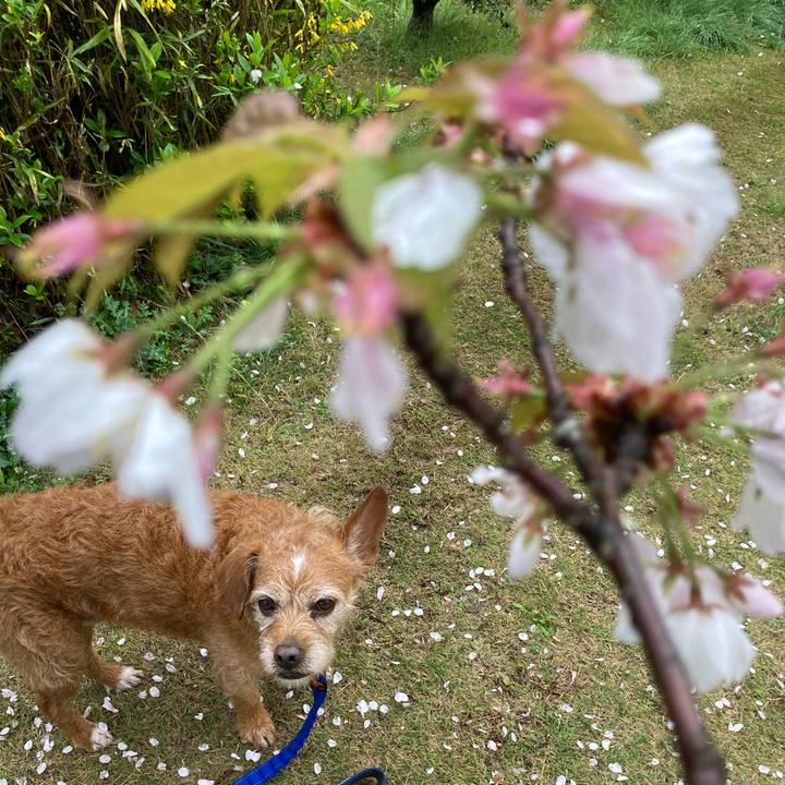 58059067 cc8f 4c04 9d44 b52fcaebab57 1679821896397