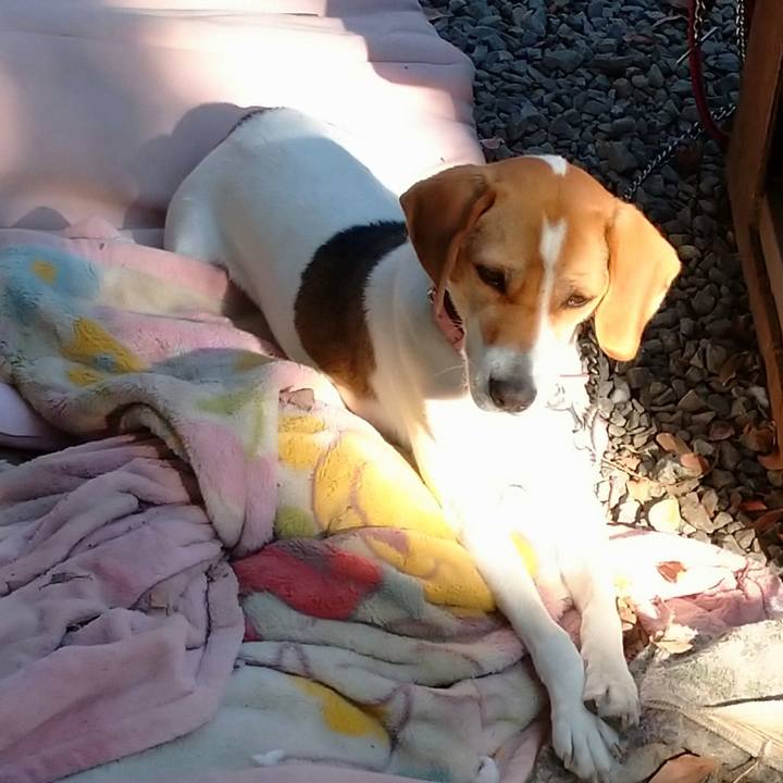 5805c8ed 8c77 416d 8d9e d913bd475fe4 1583896944888