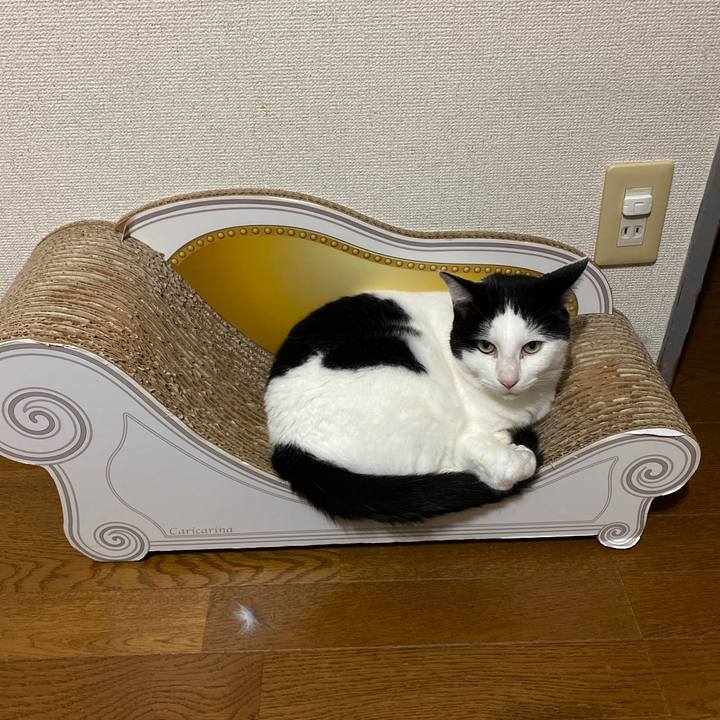 5805d022 8cc9 462d 8304 73aaa24e2f8a 1690985468330