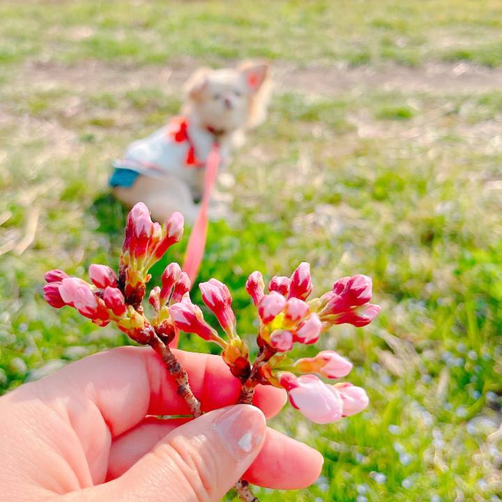 5805dfe1 7a86 4301 a926 5a02cf56a1c4 1648199470250