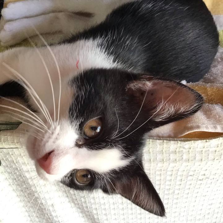 5805fa0a 8ea1 41a4 b279 c1728db0850f 1626841547937