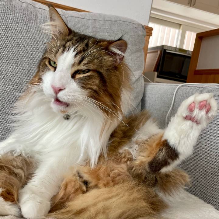 58060bb2 5bf1 4fdb 91b1 6e3ca345ae22 1676782378163