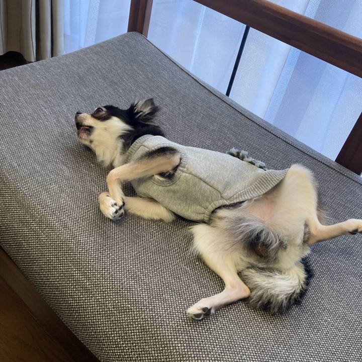 58060bde 8558 496f b973 9e923f326a74 1638680968070