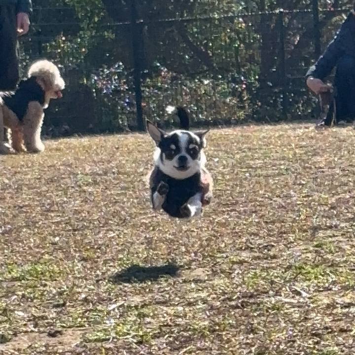 580630c7 518c 4937 80c5 6de9d0c2e891 1768111884484