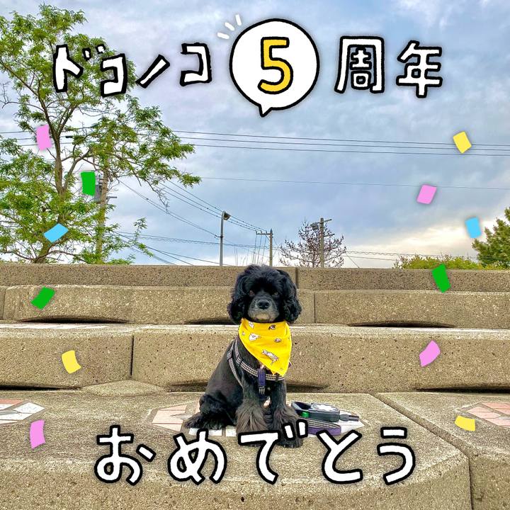 58063297 3c85 4579 a863 dde0e14468a0 1622978068297