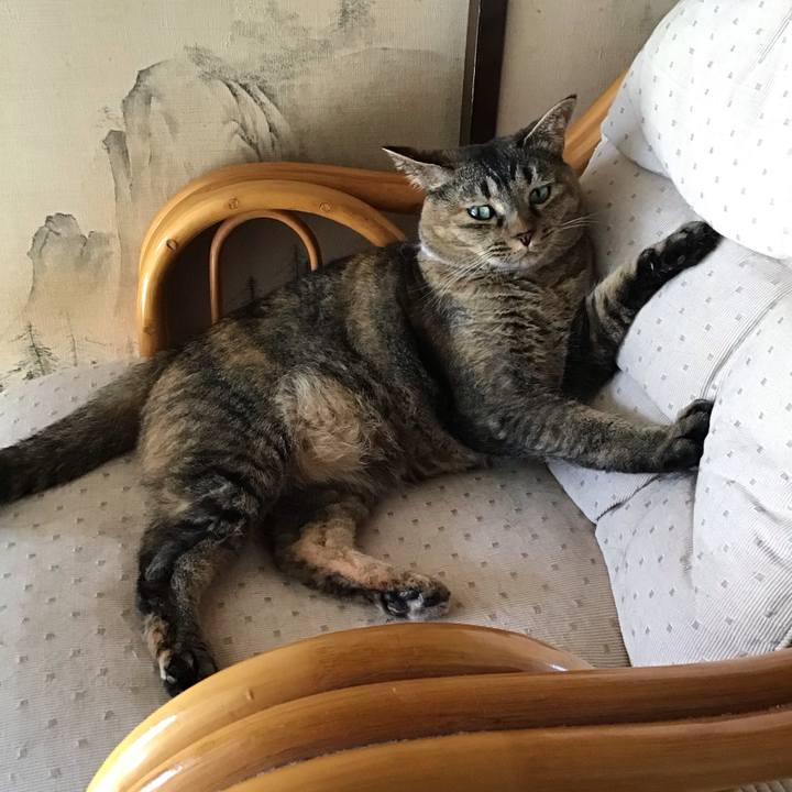 58066028 e7f0 4a49 9e8f 3bc0c3f39a7f 1753617103494