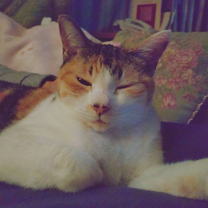 5806e488 c19a 488b a9ba d598c9935c8a 1651932190344