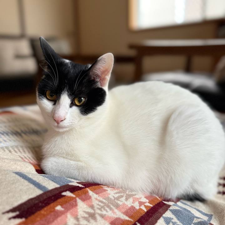 5807306f e59b 451b 8668 d898885f6fbb 1770814546383