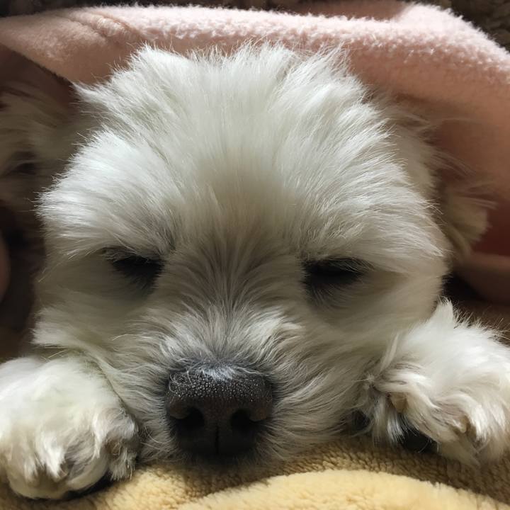 5807508d a5cf 4f3e 9175 639b7b8bbaa7 1545433416803