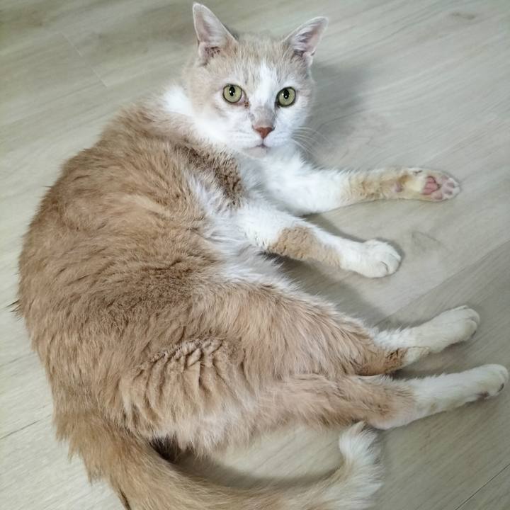 5807c81f 5277 4b83 99f4 76ae641f1036 1692002629165