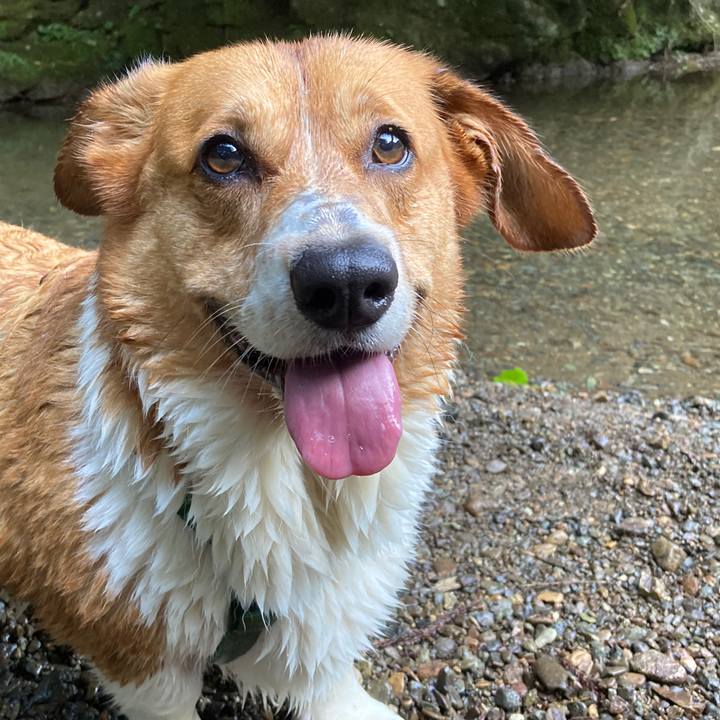 5807ce0a c819 4673 98b3 706eb942b21f 1752464995233