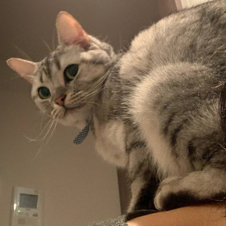 5807cfbd 11f7 4f6e 8aaf a39ebe31d19f 1572046134737