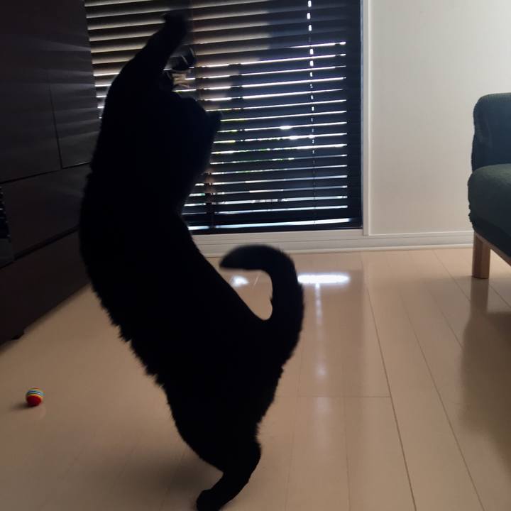 5807d781 f708 450f 806f 6bc62d9f4f39 1557096504428