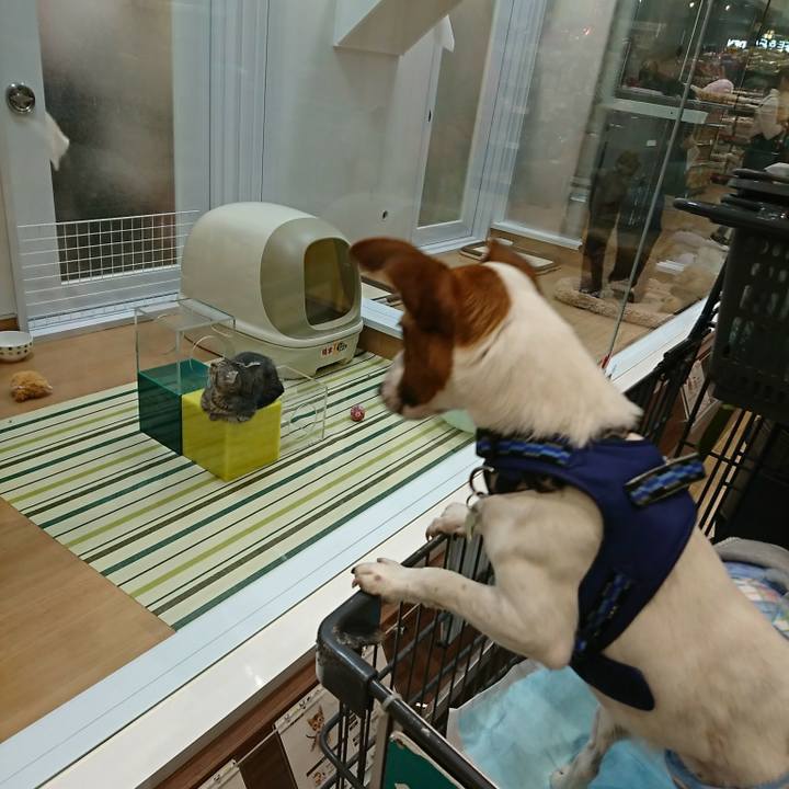 5807f0e4 ac62 4a3c 938d ac4003347d12 1525852329932