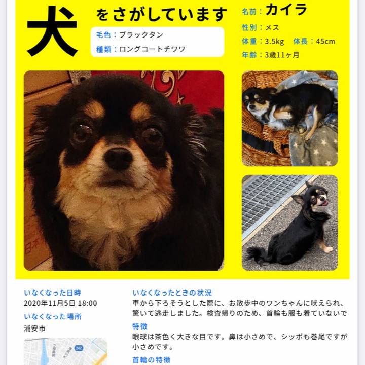 5807ff6d c476 4fa7 b55d d84953bc8b62 1604824592646