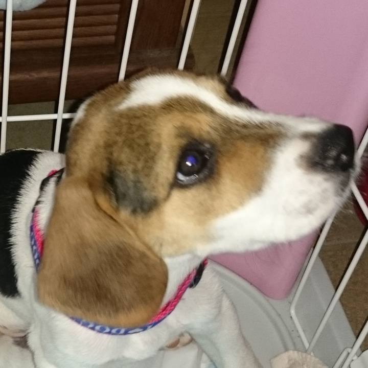 58080090 47b7 481e 954b 92df94164a69 1567086307822