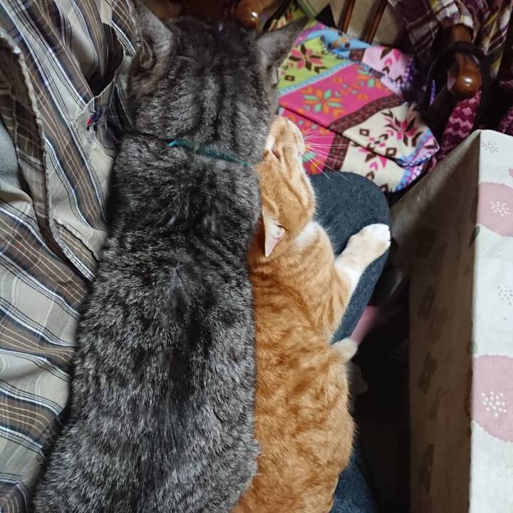 58081121 7e80 4a79 8f5c ff0013757e85 1577355410010