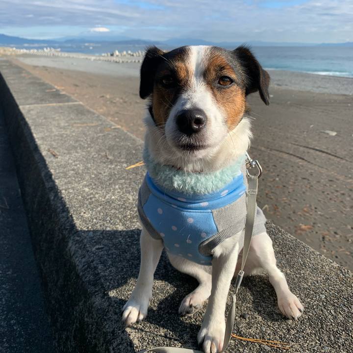 58081700 6123 41c6 aa3e afafa489e22b 1577504058570