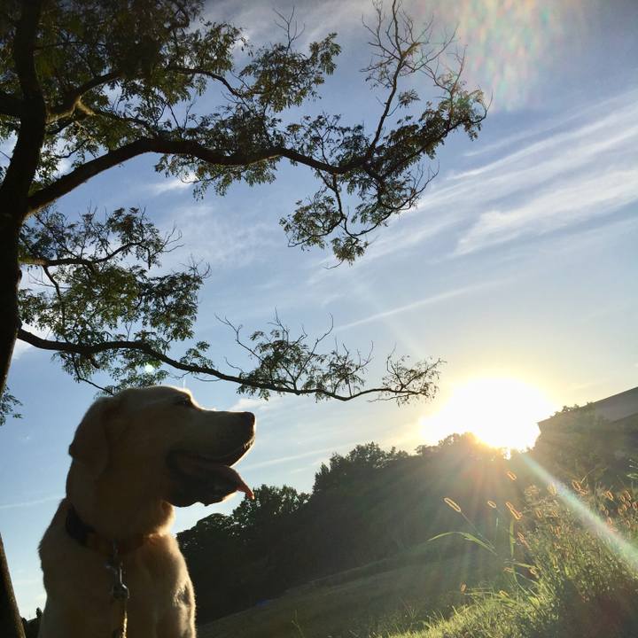 58085b77 3bee 4ec9 b8e9 b83a6469dc40 1537346311169