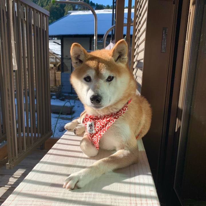 580864e6 5ad8 4519 8400 50061dac61b7 1641378045179