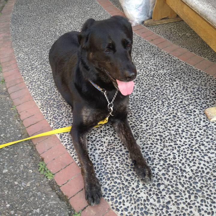 58089439 9c8e 4cb2 a14a 71af57ecef33 1620290555828