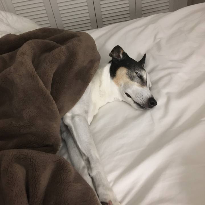 5808a089 fcf8 4d9c 9b8e a5b674a499ea 1583359153179