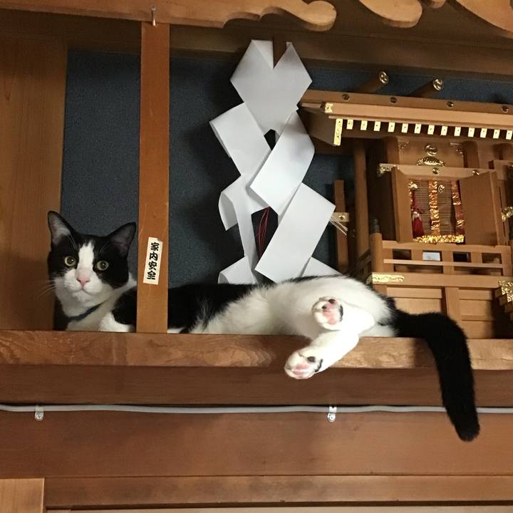 5808cbba f8d0 4ff6 8292 96ab1026724a 1728093012328