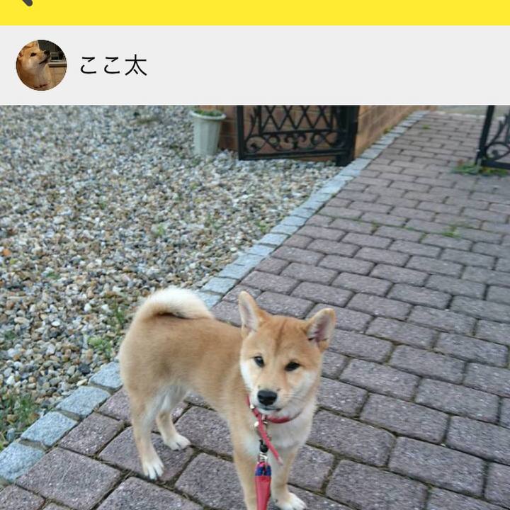 58091df6 af07 4774 bdaa 361e71a643c5 1513675373507